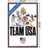 Trends International Looney Tunes x Team USA - Portrait Framed Wall Poster Prints - 3 of 4