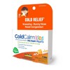 ColdCalm Kids Pellets 2 MDT by Boiron Homeopathic Medicine For Children's Cold Relief  -  160 Pellet - 4 of 4