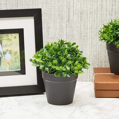 Mini Green Plastic Boxwood Topiary Centerpiece Set