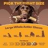 WhiteTail Naturals Deer Antler Dog Chews for Large & Aggressive Chewers – 3 Pack Long-Lasting Natural Treats for Oral Health - 4 of 4