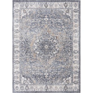 Hauteloom Aurum Hallway, Kitchen Machine Washable Runner Rug - Traditional - 1 of 4