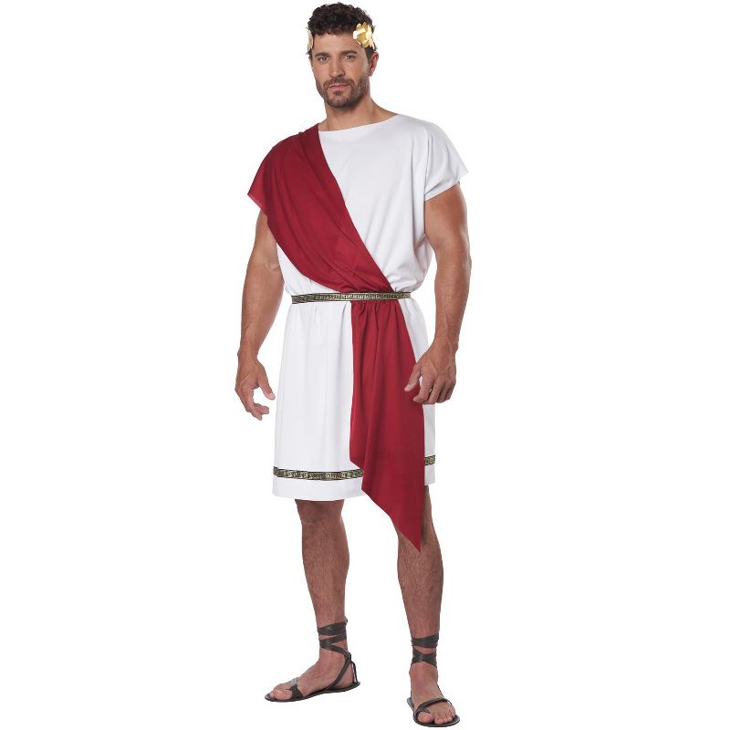 California Costumes Party Toga Adult Costume, 1 of 3