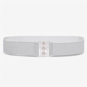 Anna-Kaci Wide Elastic Waist Belt with Gold Tone Clasp for Women - 1 of 4