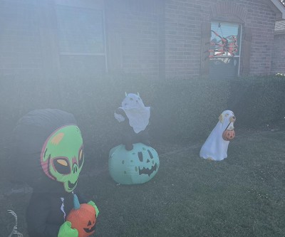 Guest review image 1 of 1, zoom in