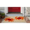 Liora Manne Frontporch Coastal Indoor/Outdoor Rug.. - 2 of 4