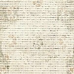 cream, medium gray, olive