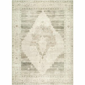 Hauteloom Gyan Hallway, Kitchen Runner Rug - Traditional - 1 of 3