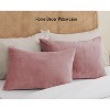 LISM 20x26 Inches Flannel Pillowcases with Zipper,Cozy Fuzzy Velvet Standard Pillow Shams Set of 2 - 2 of 4