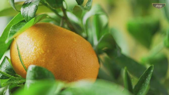 Yogi Tea - Sweet Tangerine Positive Energy Tea - 16ct, 2 of 7, play video