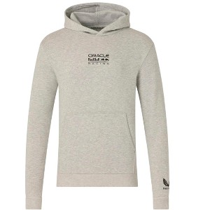 Castore Red Bull Racing Graphic Bull Hoodie : Target
