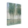 35" x 47" Tim OTool 'Tree Grove I' Unframed Wall Canvas - Trademark Fine Art - 2 of 4