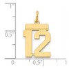 Black Bow Jewelry 14k Yellow Gold, Athletic Collection, Small Polished Number 12 Pendant - 4 of 4