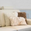 Luxe Belton Faux Fur Pillow | 2-Pack | 18"x18" - 3 of 4