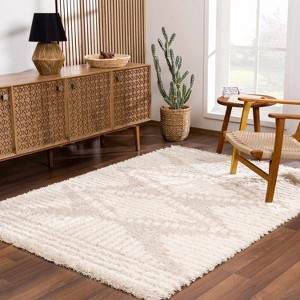 Hauteloom Igor Shag Area Rug - 1 of 4
