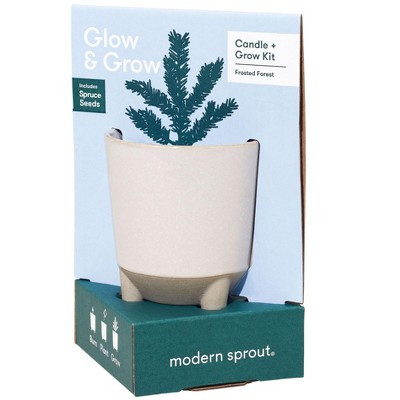 Modern Sprout Glow & Grow Spruce Tree and Candle Grow Kit - Spruce Tree Starter Grow Kit, Scented Soy Candle