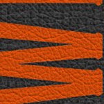 oklahoma state cowboys
