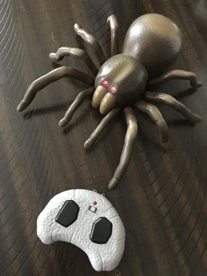 Voiture télécommandée Discovery Kids rc tarantula - araignée aux yeux  lumineux et sonore