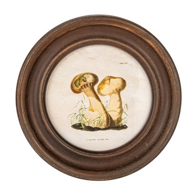 Set of 4 Round Reclaimed Wood Mushroom Print Wall Art