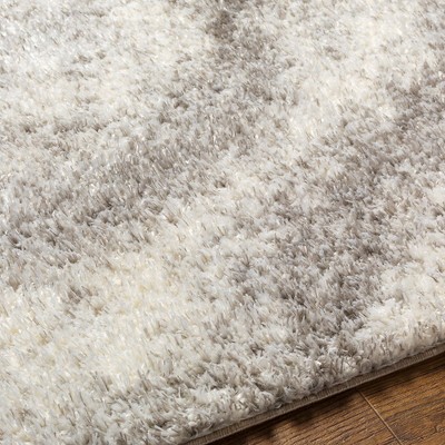 Boyden 5'3" x 7' Gray Shag Wool Area Rug
