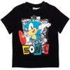 SEGA Sonic the Hedgehog Athletic Pullover T-Shirt & Shorts Outfit Set Toddler to Big Kid - 2 of 4