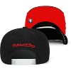 Mitchell & Ness NBA Chicago Bulls Day 5 Snapback Adjustable Cap - 3 of 3