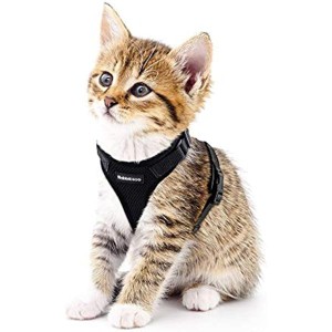 rabbitgoo Cat Harness Escape Proof, Adjustable Small Pets Vest Harnesses, No Harness with Reflective Strips, Black - 1 of 1