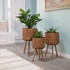 Bencmate Planters Outdoor Garden Bamboo Planters, Flowers Ferns Succulents Planter Pots for Hall Balcong Porch Home, 3 Pcs, Brown, 15"*15"*26" - 2 of 4