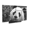 Trademark Fine Art SD Smart Giant Panda 6 Piece Panel Set Art - 2 of 3