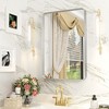Apmir Rectangular Aluminum Alloy Framed and Tempered Glass Wall Bathroom Vanity Mirror in Matte Black/ Gold/ Silver/ Brown - 2 of 4