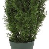 4ft Silk Tree - Indoor Outdoor Decorative Tree, Realistic Artificial Pine Tree, Elegant Home Decor, 20" x 20" x 48" - 3 of 4