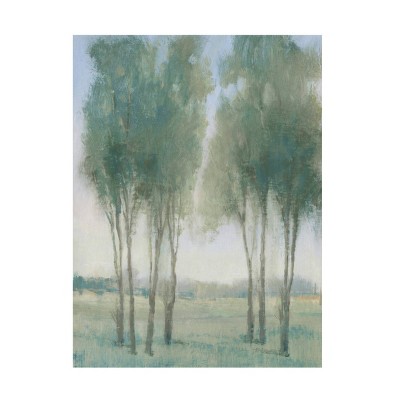 35 X 47 Tim Otool 'tree Grove I' Unframed Wall Canvas - Trademark Fine  Art : Target