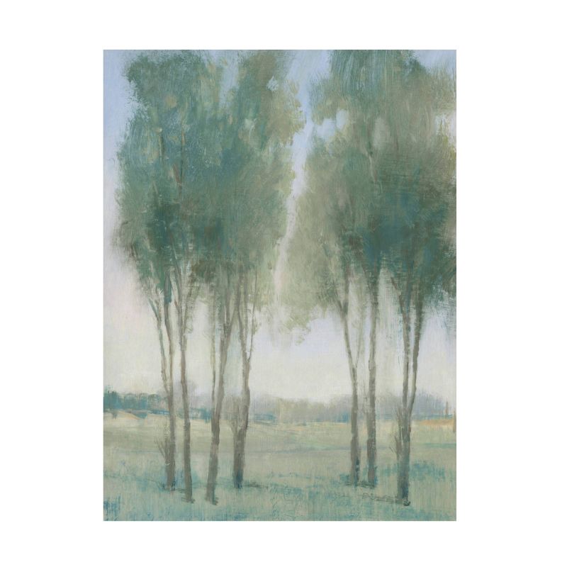 14&#34; x 19&#34; Tim OToole &#39;Tree Grove&#39; Unframed Wall Canvas - Trademark Fine Art, 1 of 6