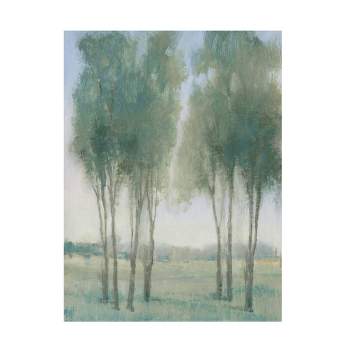 14" x 19" Tim OToole 'Tree Grove' Unframed Wall Canvas - Trademark Fine Art