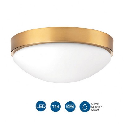 Progress Lighting Elevate 1-Light LED Flush Mount, Brushed Bronze, Etched White Glass Shade