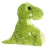 Aurora Dreamy Eyes 10 T Trex Green Stuffed Animal : Target