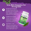 Kids Iron Gummies, Blood Builder Iron Supplements for Kids with Gentle for Stronger Immunity & Energy, Grape Flavor, Nature's Craft , 90ct - 2 of 4