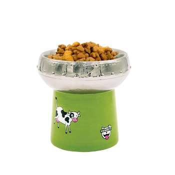 BigMouth Inc. UFO Elevated Cat and Dog Bowl