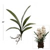Floral Home 20" Cymbidium 7 Leaf Clusters - 24-Piece - 2 of 2