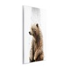 Stupell Industries Bear Shower Splash Wall Plaque Art - 3 of 4