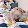 Intelex Warmies® Microwavable Plush 13" Capybara - 4 of 4