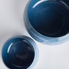 Plum & Post Andrey Decorative Low Bowls Set of 2 - 3 of 3