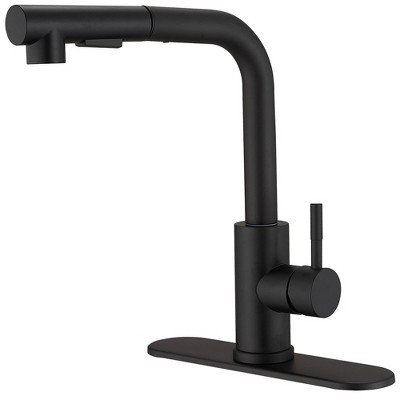 2 Sprayer Single Hole Single-Handle Pull Out Kitchen Faucet