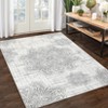 Area Rug Vintage Medallion Machine Washable Rugs Non Slip Non Shedding Distressed Printed Low Pile Foldable Carpet for Bedroom Living Room Playroom - 4 of 4