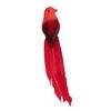 Northlight 9" Red Cardinal with Long Tail Clip-On Christmas Ornament - 2 of 4