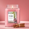 Original Large Jar Candle 22oz - Yankee Candle - 3 of 4