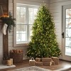 National Tree Company Pre-Lit Full Dunhill Fir Artificial Christmas Tree Clear Lights - 2 of 4