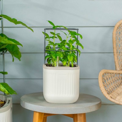 Cream White Self-Watering Mini Planter Pots with Trellis, 2 Pack