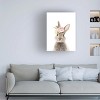 Canvas Wall Art - Lola Peacock  'Floral Bunny' Wall Art for Living Room, Bedroom, or Office Décor by Trademark Fine Art - 3 of 4