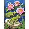 Briarwood Lane House Flag 40x28 For Outdoor Frog Pond Summer For Summer House Flag - 3 of 4