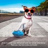 Itopfox Squeaky Dog Toy for Aggressive Chewers: Durable Rubber Puppy Chew Ball with Squeaker, Almost Indestructible Pet Toy for Medium & Large Breeds - 3 of 4
